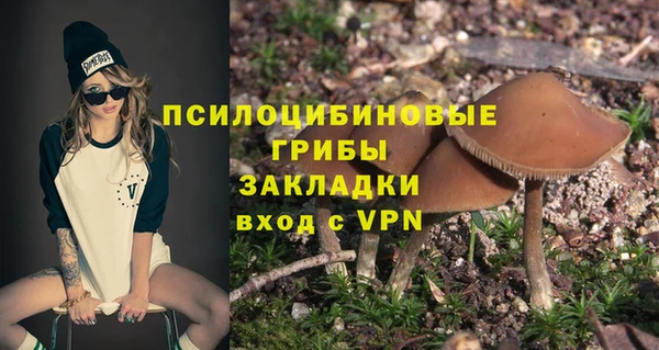 твердый Алексин