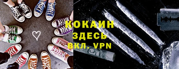 твердый Алексин