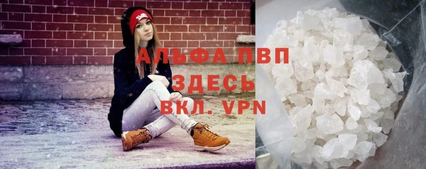 a pvp Алзамай