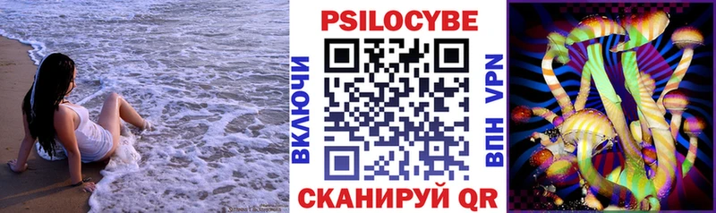 купить Кольчугино Галлюциногенные грибы Psilocybine cubensis