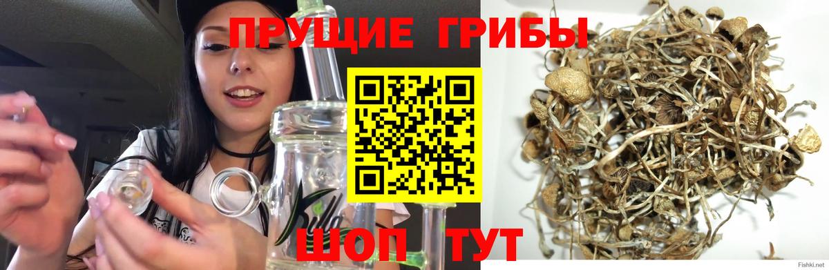 Галлюциногенные грибы Magic Shrooms Кольчугино